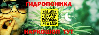 молекула духа Рузаевка