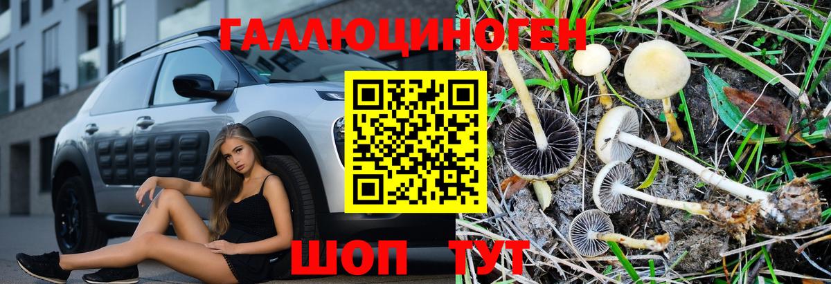 Псилоцибиновые грибы Magic Shrooms  Вход с VPN  Алатырь 