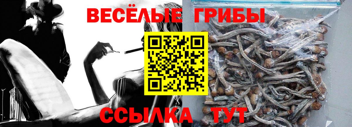 Псилоцибиновые грибы ЛСД Алатырь